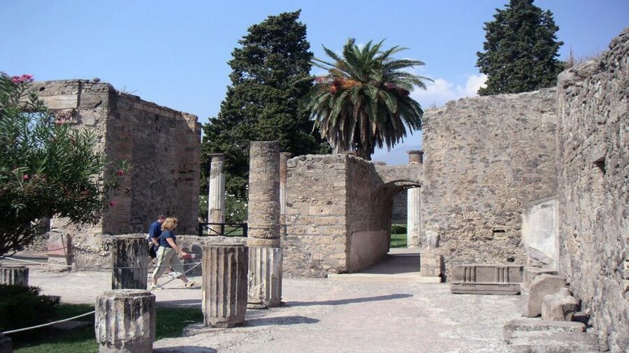 Pompeii Half-Day Coach Tour from Sorrento - Price and Value: Is $79 Worth It?