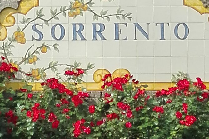Pompeii Half-Day Tour from Sorrento - Key Highlights at a Glance