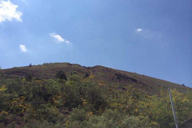 Pompeii, Herculaneum & Mt. Vesuvius Guided Tour from Sorrento - Price and logistics: what you pay, what you add