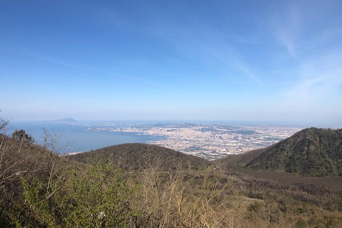 Pompeii, Herculaneum & Mt. Vesuvius Guided Tour from Sorrento - What stands out in service: the human details that save you time