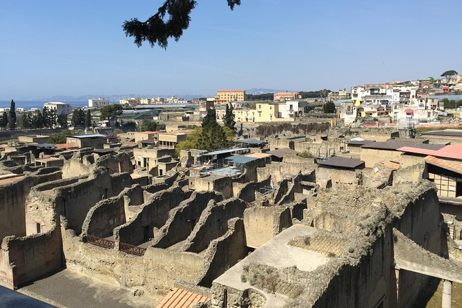 Pompeii-Herculaneum-Wine tour from Sorrento, with licensed guide included - Herculaneum at Parco Acheologico di Ercolano, 1 hour 45 minutes of clarity