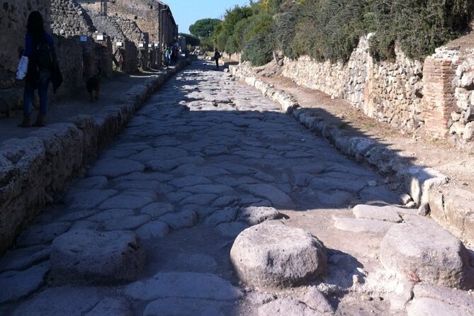 Pompeii, Herculaneum & Wine Tour, with Licensed Guide included - What to pack and how to handle the walking