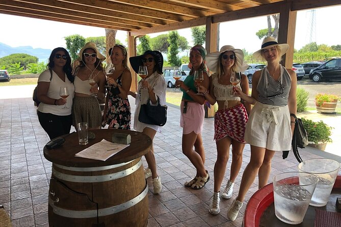 Pompeii, Herculaneum & Wine Tour, with Licensed Guide included - Who this tour is best for