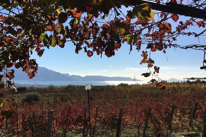 Pompeii, Mt Vesuvius and Wine Tour - Mount Vesuvius National Park: The Crater Rim Hike Is the Main Physical Test