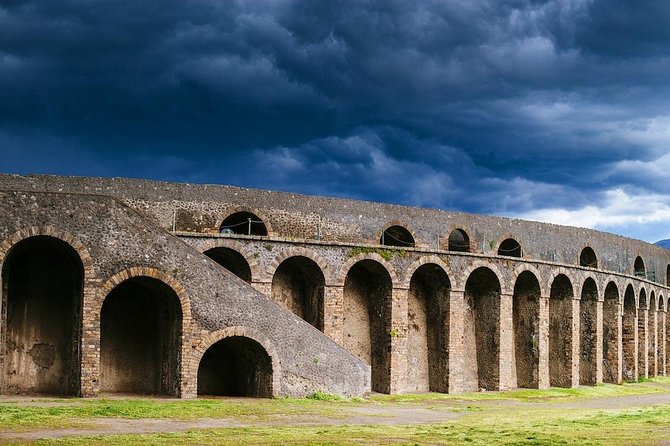 Pompeii Private Tour from Sorrento Entrance fees included - Quick hits before you go