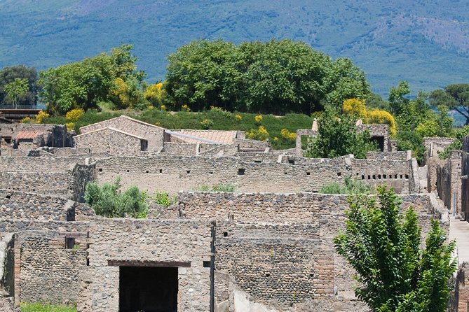 Pompeii Ruins Half-Day Tour from Sorrento with Guide - Timing, crowds, and how to avoid feeling rushed