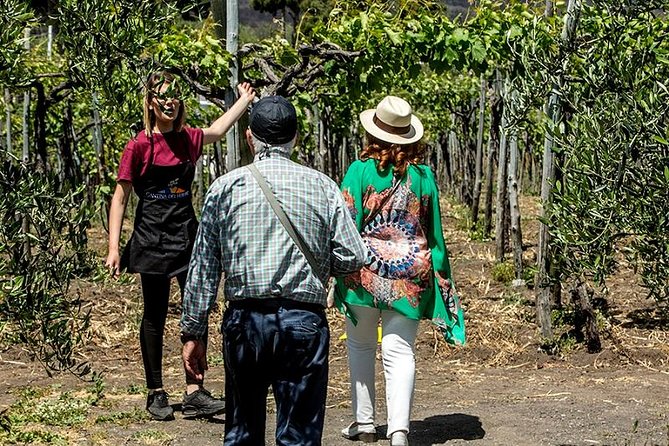 Pompeii Ruins & Wine Tasting with Lunch on Vesuvius with Private Transfer - Optional add-on: Herculaneum ruins if you book it