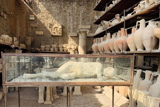 Pompeii & Vesuvius entrance fees included - Daily From Sorrento - Mt. Vesuvius National Park, crater time, and how to use your free hour