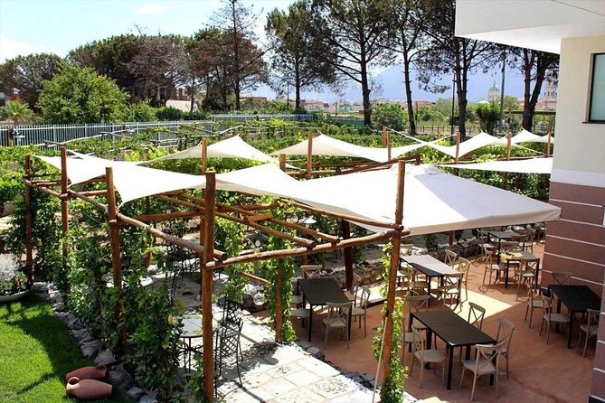 Pompeii & Vesuvius with Wine Tasting from the Coast - Crater Rim Views: Why The Timing Works