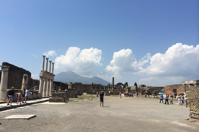Pompeii-Wine tasting tour from Sorrento, licensed guide included - Pompeii and wine, set up from Sorrento