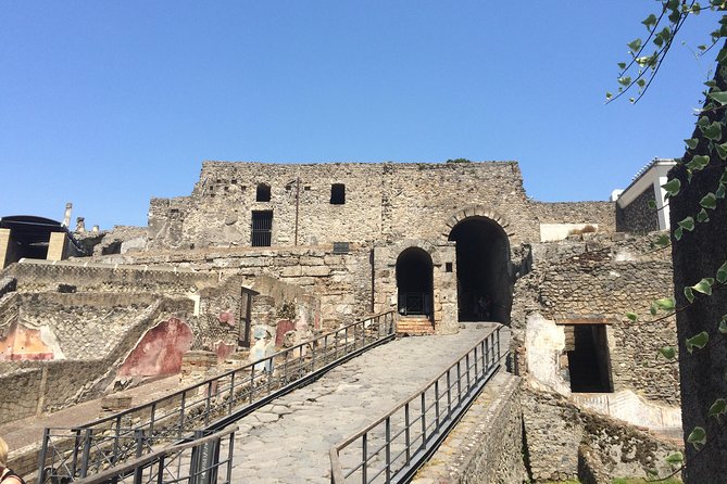 Pompeii-Wine tasting tour from Sorrento, licensed guide included - Tickets and the 9:00 am TicketOne rule you should not ignore