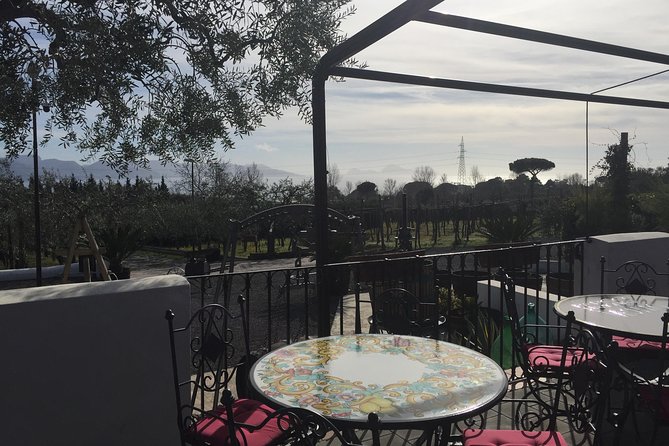 Pompeii-Wine tasting tour from Sorrento, licensed guide included - What the private format changes for your day