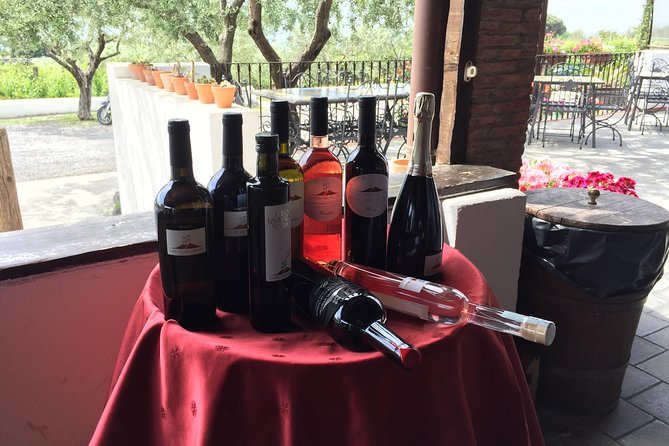 Pompeii-Wine tasting tour from Sorrento, licensed guide included - Your 8:15 am start and pickup that avoids headaches