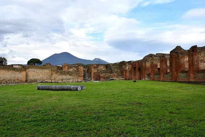 Pompeii & Wine Tour from Sorrento (tickets & lunch not included) - Should You Book This Pompeii and Wine Tour from Sorrento?