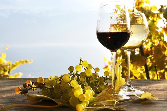 Pompeii & Wine Tour from Sorrento (tickets & lunch not included) - Pompeii Archaeological Park: Tickets You Handle, Guide Support You Care About