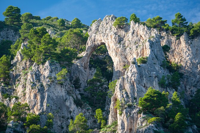 Private Boat Tour of Capri From Sorrento on Sorrentine Gozzo - Grotta Rossa and White Grotto: seeing the caves without adding extra crowds
