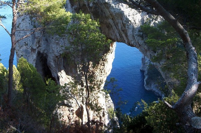 Private Capri Blue Grotto No Stress Tour with Kids from Sorrento - The route to Anacapri: Mamma Mia Road and a kid-friendly pace
