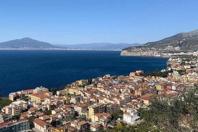Private Day Tours : Discover the Top Destinations in One Day! - Why this private Sorrento plan feels easier than DIY