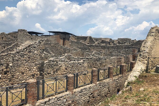 Private Full Day Tour Ruins of Pompei and Wine Tasting Experience - Drivers Matter More Than You Think