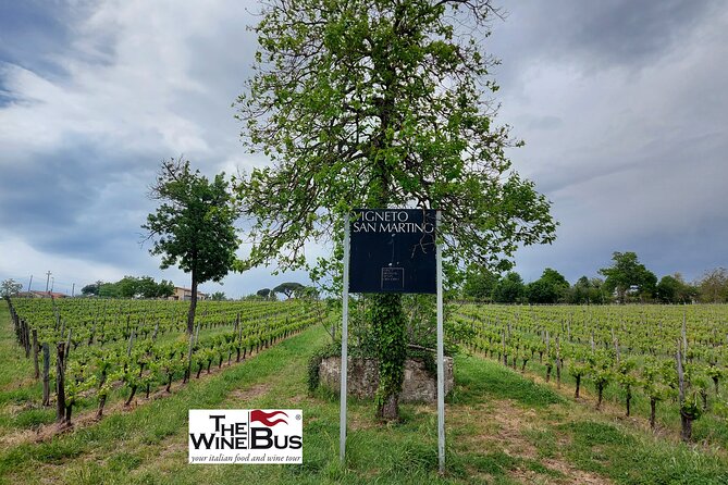 Private Irpinia Wine Tour from Sorrento with sommelier - Irpinia instead of the coast: what makes this wine day special