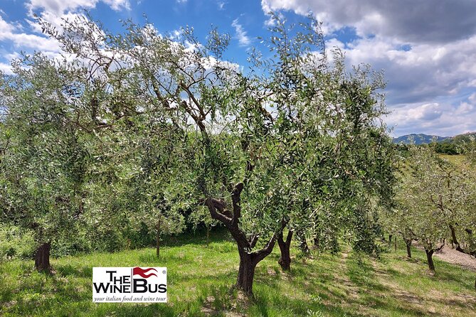 Private Irpinia Wine Tour from Sorrento with sommelier - Montemiletto lunch: an own-expense break that you can control
