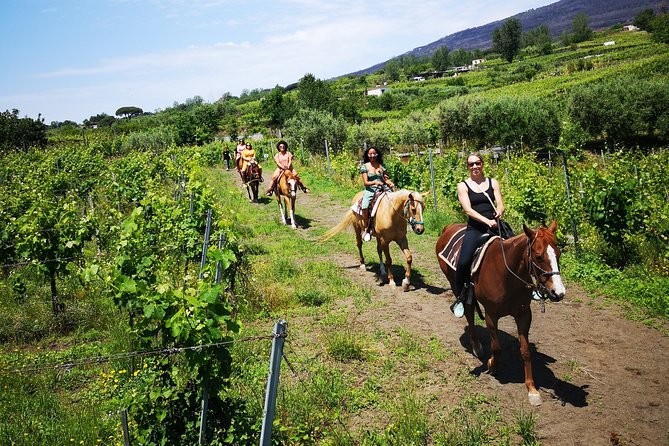 Private Pompeii, Horse Riding & Lunch Tour w/ Pick up included - Pompeii Ruins You’ll Focus On, and Why It Matters