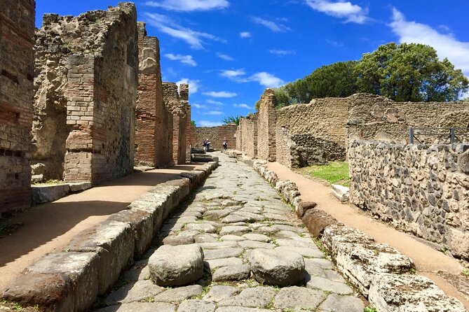Private Pompeii Tour From Sorrento with Pick Up and Drop Off - Casa del Menandro: a fast pass through domestic life