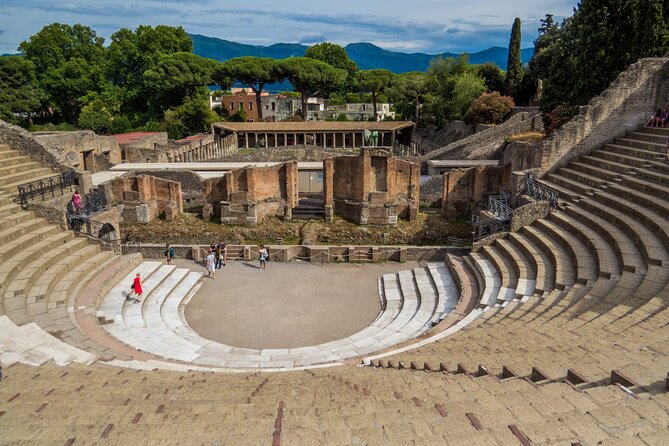 Private Pompeii Tour with Archaeologist & Winery on Mt Vesuvius - Pompeii plus a winery, from Sorrento, is a smart combo