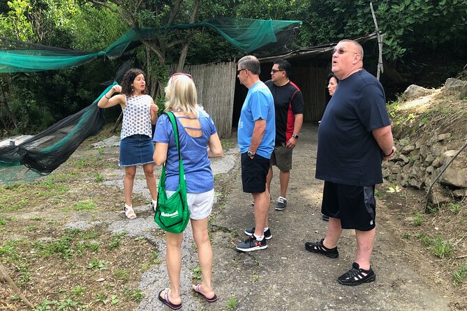 Private Pompeii Tour with lunch and Olive Oil Factory Experience - The Pompeii stop: guided time in a city that’s easy to get lost in