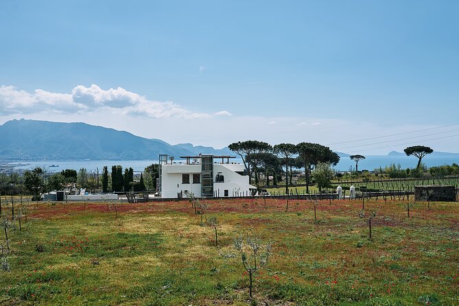 Private Pompeii Tour with Wine Tasting Experience - Smart tips to make the day smoother at Pompeii and the winery