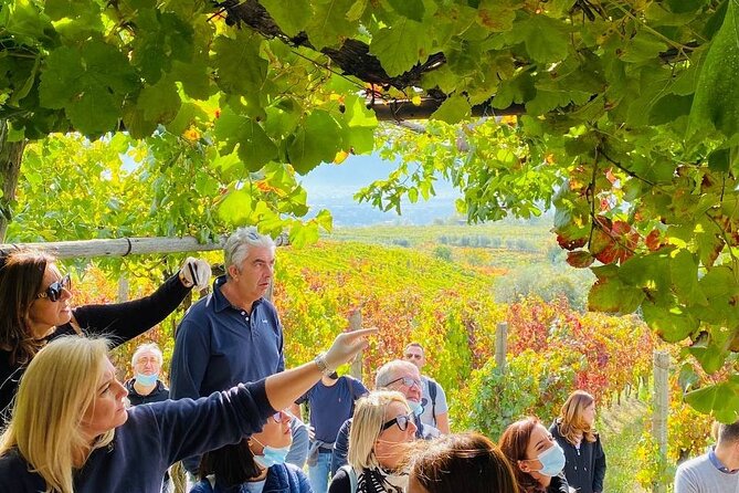 Private Tour in Pompeii Ruins and Pompeii City Center Winery - Pompeii city center and the Sanctuary of the Rosary