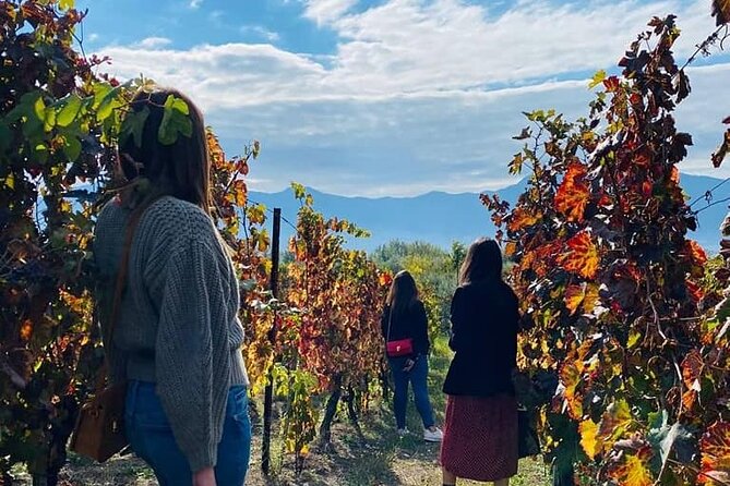 Private Tour in Pompeii Ruins and Pompeii City Center Winery - Who this tour is best for