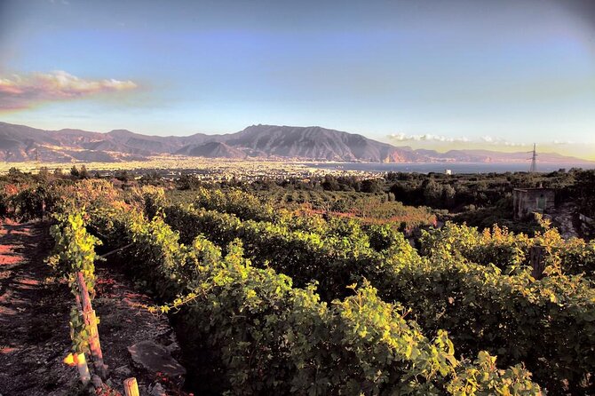 Private Tour in Pompeii Ruins and Pompeii City Center Winery - Boscotrecase at the foot of Vesuvius: vineyards, lunch, and 5 wines