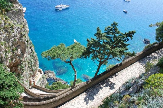 Private Tour of Capri and Anacapri From Sorrento - From Sorrento to Capri: your day starts at Porto di Sorrento