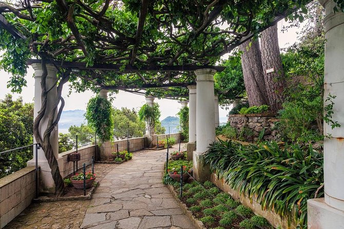 Private Tour of Capri and Anacapri From Sorrento - Anacapri and Monte Solaro: the island from higher ground