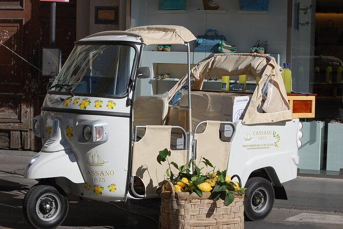 Private tour of limoncello igp with tasting by the sea - Getting the most out of your private sea-side tasting