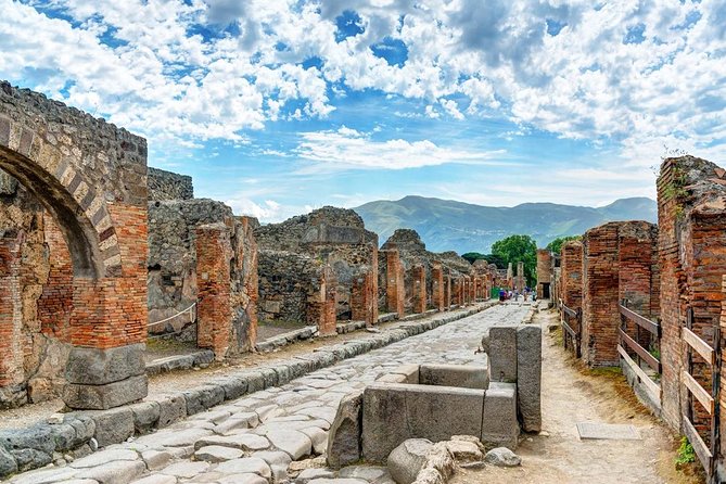 Private Tour Pompeii and Winery - Price and logistics: is $385.61 good value?