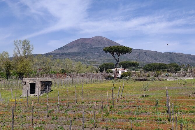 Private Tour Pompeii, Vesuvius and Herculaneum - Price and value: what you’re really paying $459.19 for