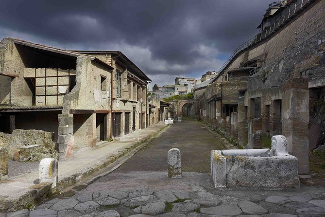 Private tour Pompeii Vesuvius and Winery from Sorrento - Pompeii guide option: when €150 per booking is worth it