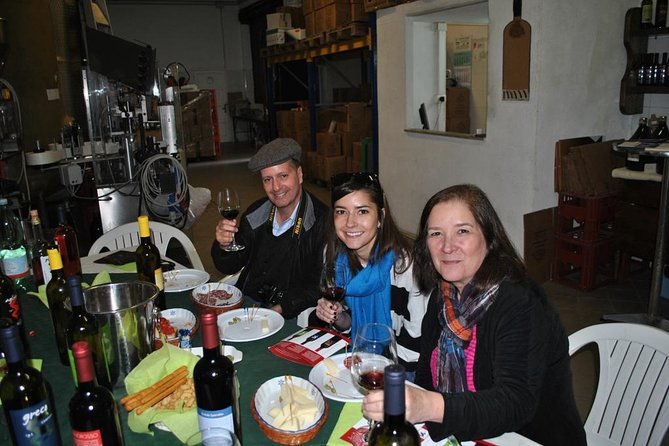 Private tour Pompeii Vesuvius and Winery from Sorrento - Should you book this Pompeii Vesuvius and winery tour from Sorrento?