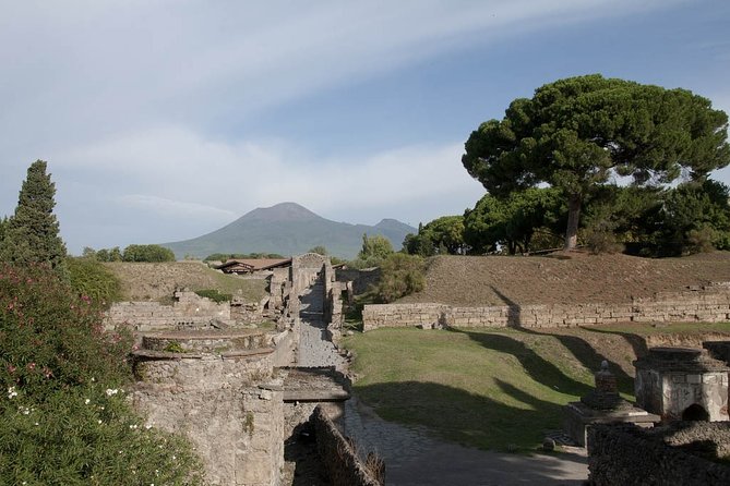 Private tour Pompeii Vesuvius and Winery from Sorrento - Pompeii time, photo stops, and how you use your 2 hours