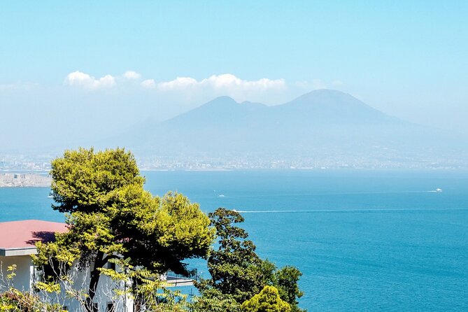 Private Tour to Naples from Sorrento with Pick Up and Drop Off - Duomo di Napoli: Gothic in Style, Dynasties in the Tombs