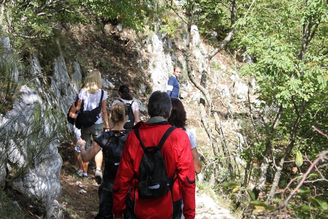 Private Tour: Truffle-Hunting Experience from Sorrento with Lunch - Private Truffle Hunting From Sorrento, What You’re Really Buying