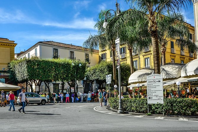 Private Transfer from Sorrento or Amalfi coast to Naples or vice versa - Key Takeaways Before You Book