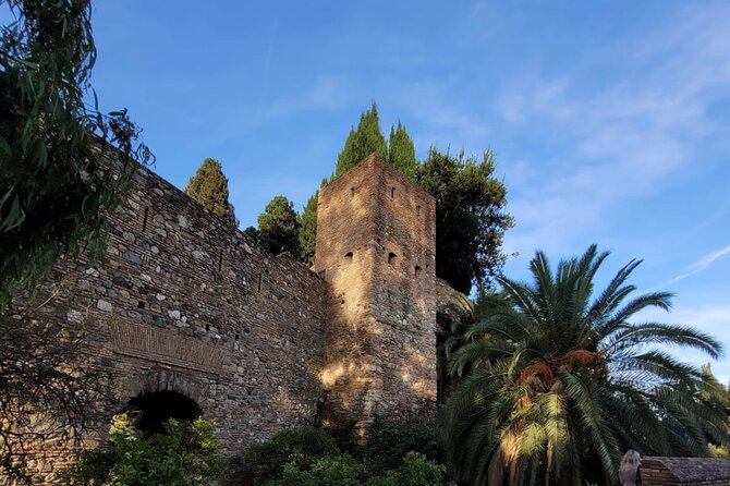 Private Transfer from Sorrento to Naples - What to Expect From Start to Finish