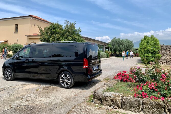 Private Transfer from Sorrento to Salerno - Italian-only, driver-only: how to manage expectations