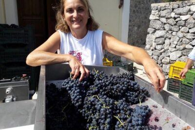 Private Vineyard Visit: Wine Tasting, Local Delicacies & Ceramics
