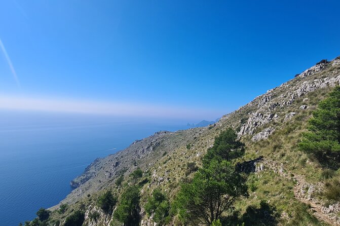 Punta Campanella hike - Amalfi coast - Sorrento - Price and value: is $68.25 a fair deal for this hike?