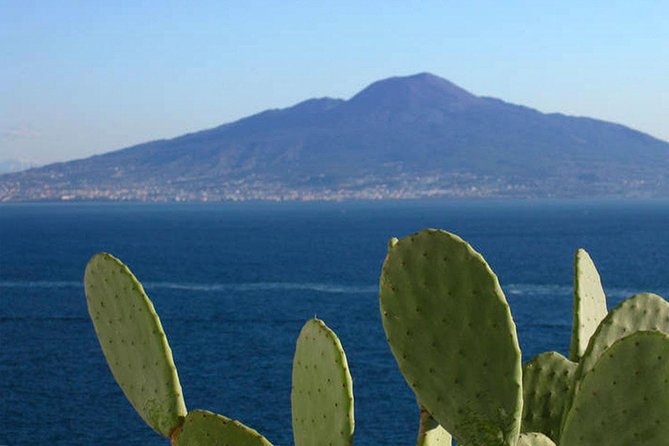 Secrets Walks of Sorrento with a Local - Why This Sorrento Walk Feels Like the Town, Not a Checklist