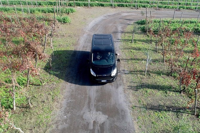 Shared Transfer from Sorrento to Naples Airport - Who This Transfer Fits Best (and Who Should Rethink It)